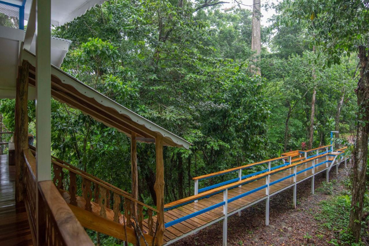 Blue Maverick Retreat - Secluded Nature Escape - 4Wd Access Required Cocles Buitenkant foto